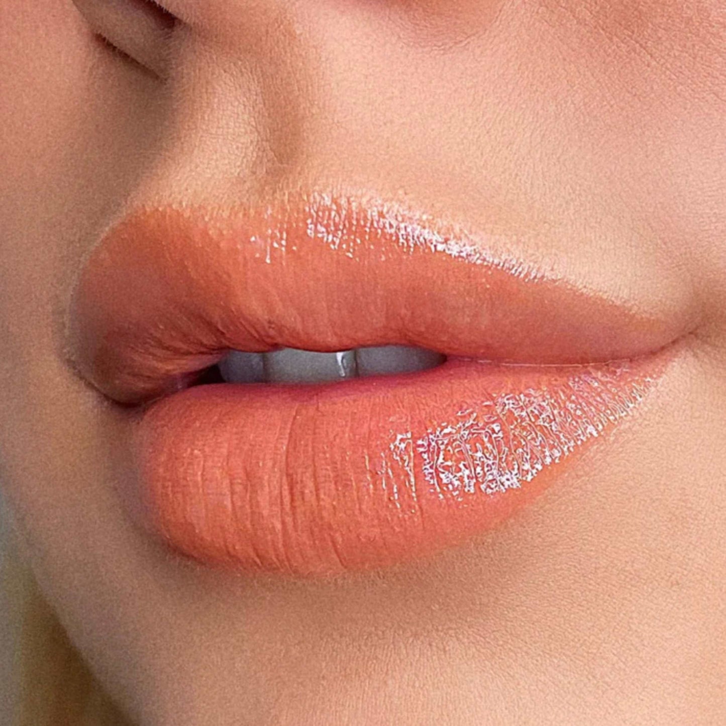The Delicate Lipkit